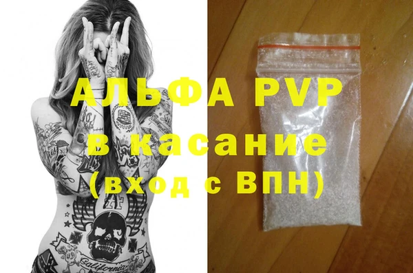 стафф Вяземский
