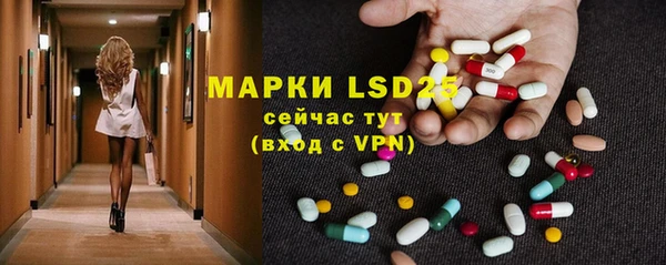 стафф Вяземский
