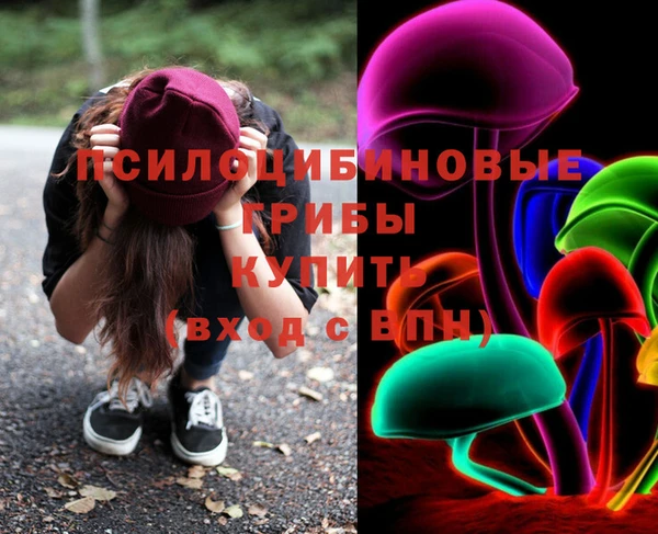 крисы Володарск